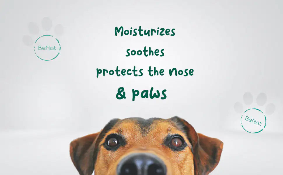 ๐๏ธ Healthy Skin, Happy Pet โ Protective Balm That Works as Hard as They Play