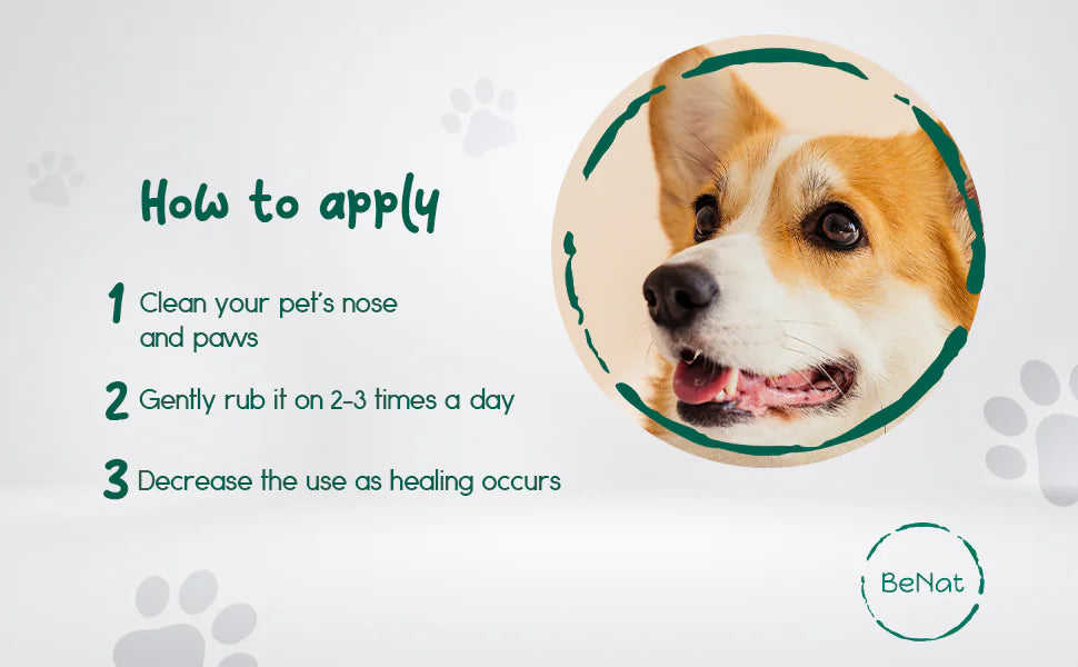 ๐๏ธ Healthy Skin, Happy Pet โ Protective Balm That Works as Hard as They Play