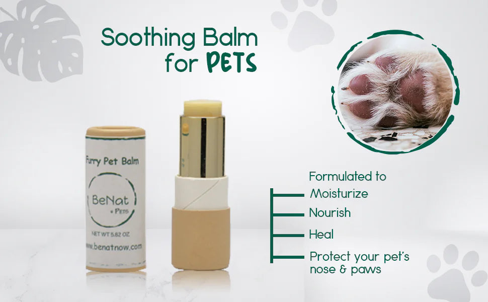 ๐๏ธ Healthy Skin, Happy Pet โ Protective Balm That Works as Hard as They Play